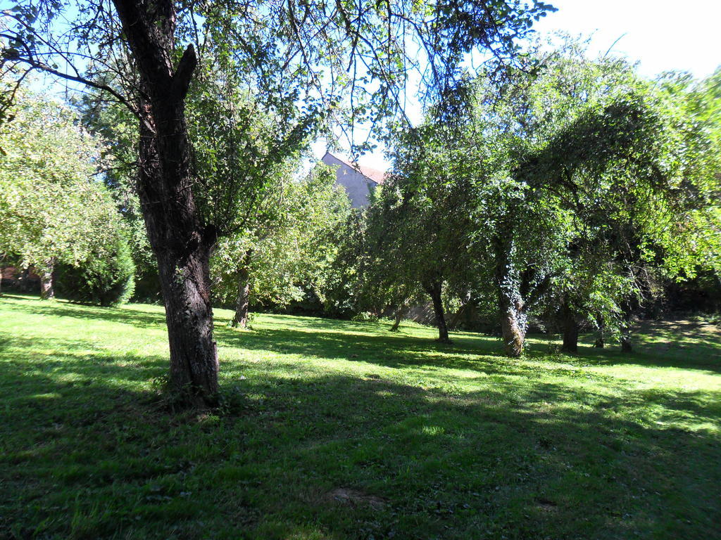 A L'Aube Des Volcans Hotel Charbonnières-les-Vieilles Buitenkant foto