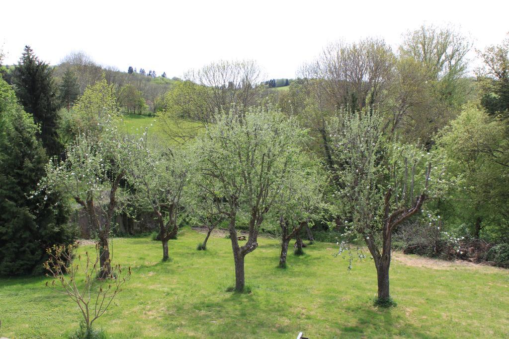 A L'Aube Des Volcans Hotel Charbonnières-les-Vieilles Buitenkant foto