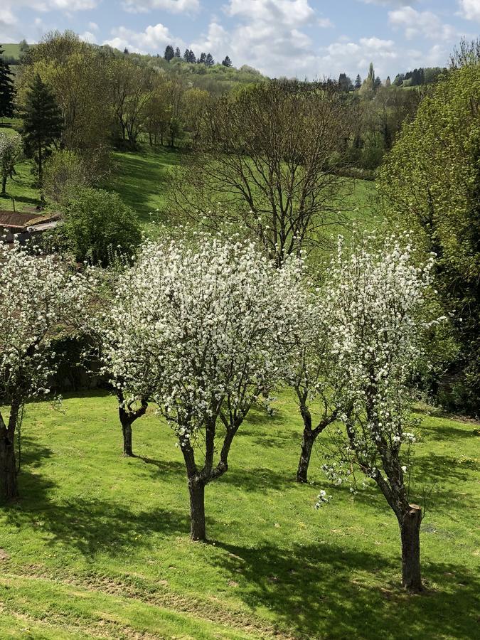 A L'Aube Des Volcans Hotel Charbonnières-les-Vieilles Buitenkant foto